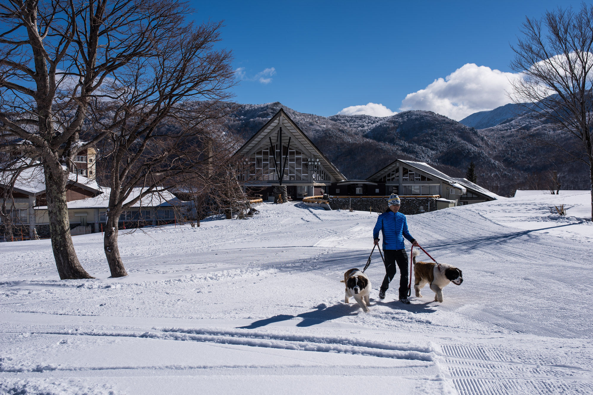 Okushiga Kogen Hotel Yamanouchi  Exterior photo